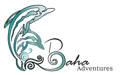 Bahadventures logo